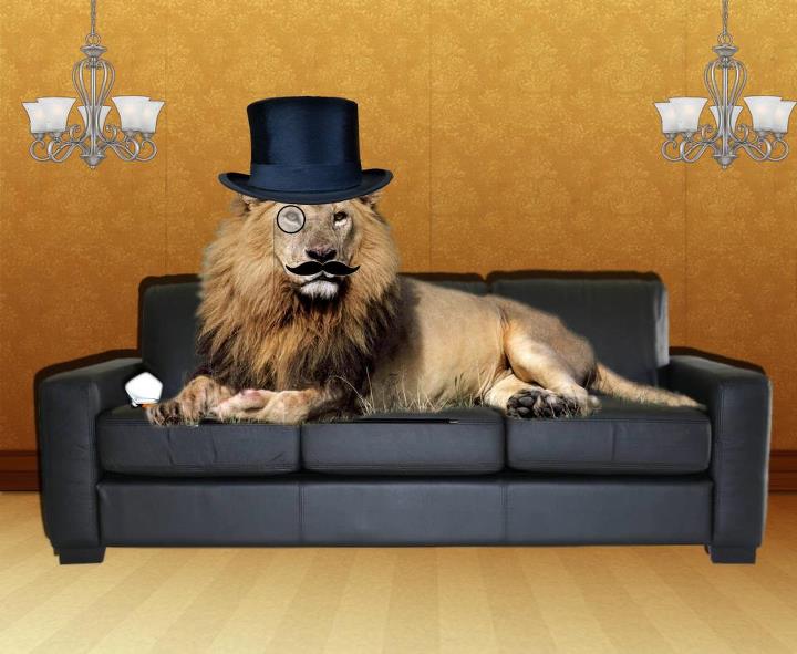 Gentleman Lion
