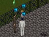 The Sims ljóð