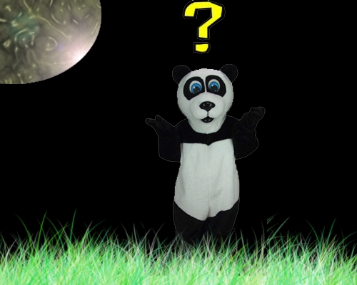 herra panda