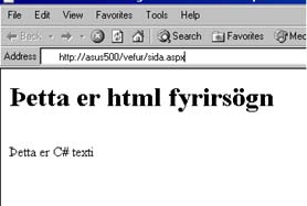 ASP.NET fyrir byrjendur