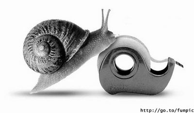 Drunk Snail