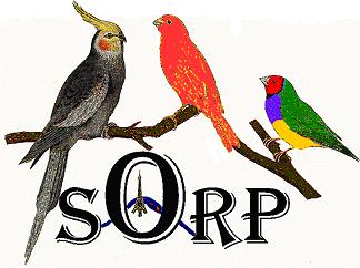 Sorp