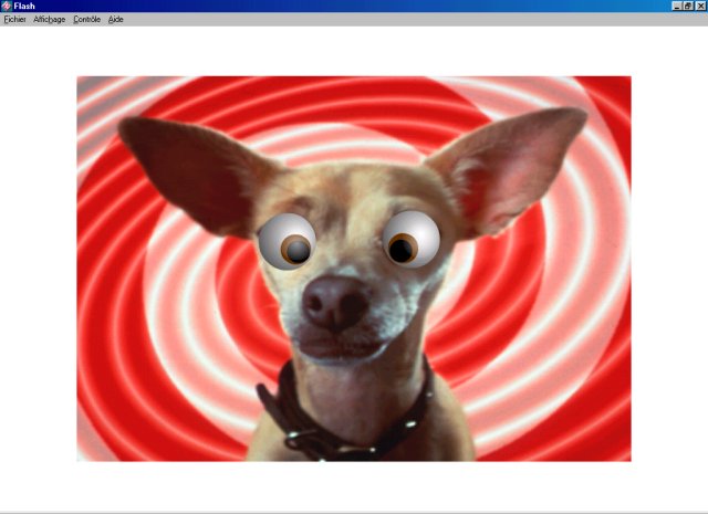 Crazy dog