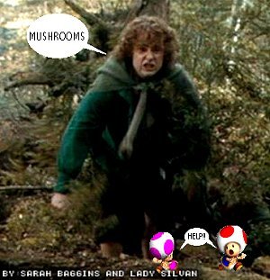 Mushrooms!!