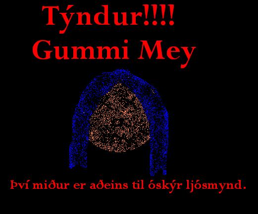 Gummi Mey