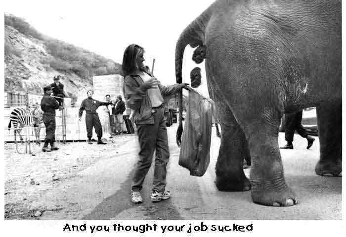 and you thought yuor job sucked!