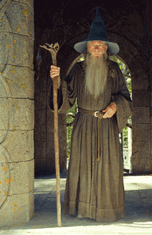Gandalf and harry potter
