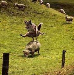 Snild!!!