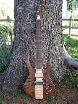 Moser guitars