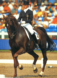 Dressage