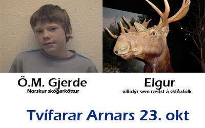 Tvífarar