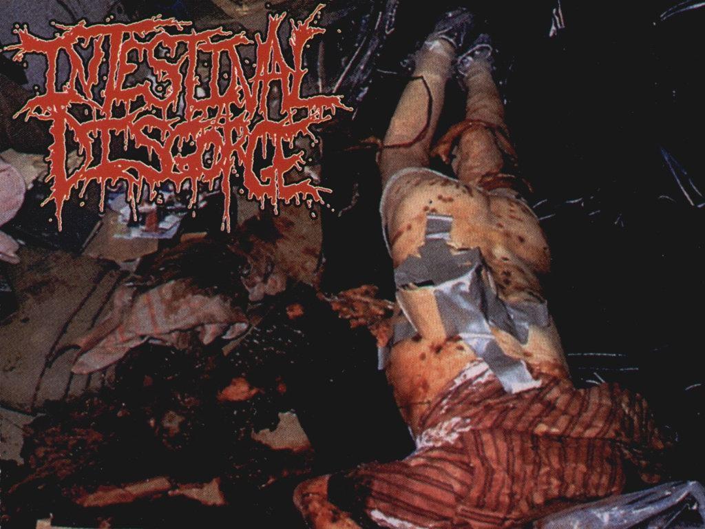 Intestinal Disgorge