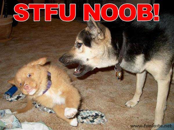 stfu nOOb