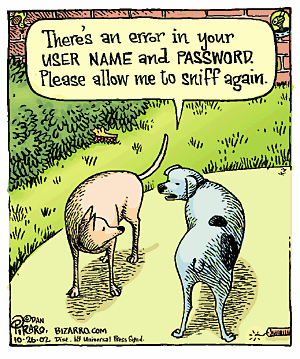 sniff