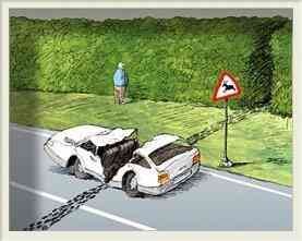 Warning:Deer Crossing