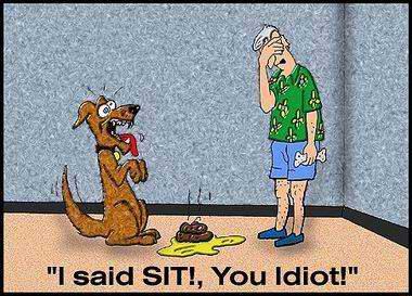 I said sit!