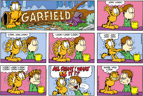 Sniðug Garfield Saga ;)