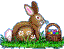DVD egg