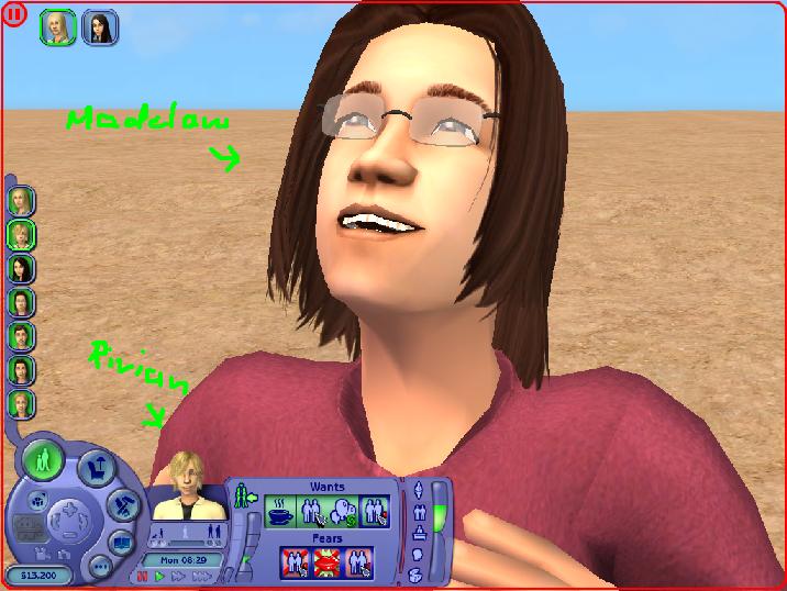 Sims aftur