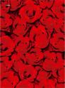 Dance on christmas roses