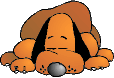 Hundaofnæmi
