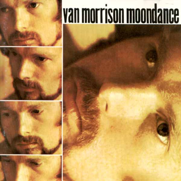 Van Morrison - Moondance