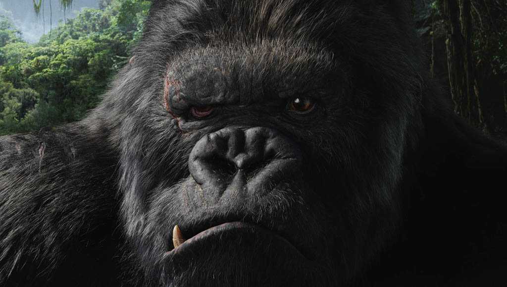 kong
