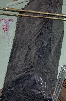 Dauði hesturinn