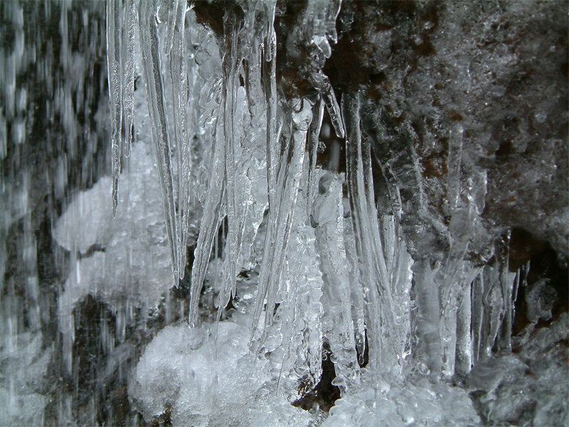 Kuldi - Grílukerti