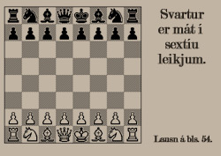 Þraut
