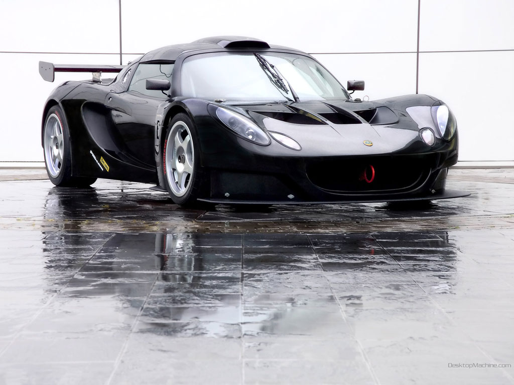 Lotus