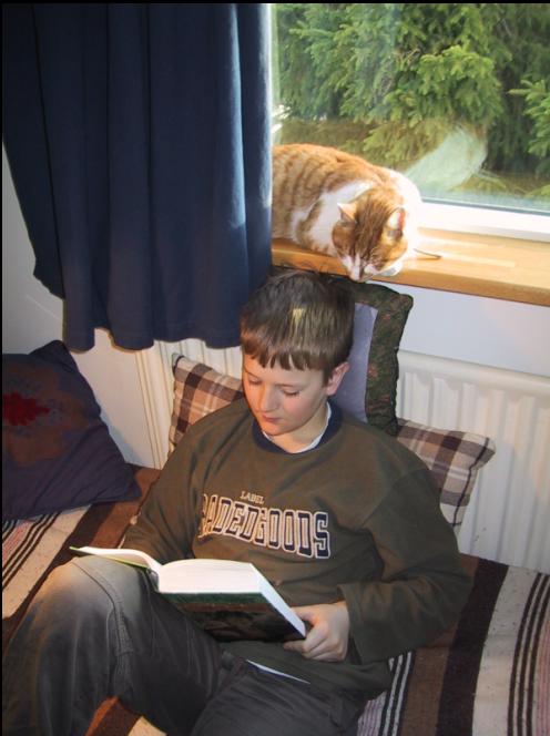 Ég árið 2001