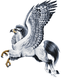 FanFic, 4.kafli