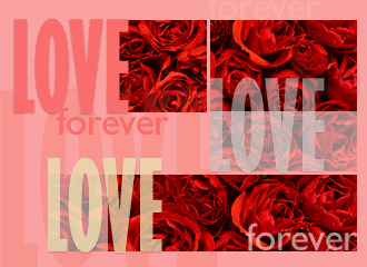 Love Forever