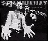 Pantera