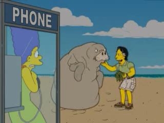 The Bonefire of manatees