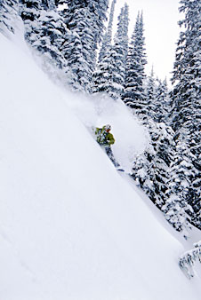 "Craig Kelly is my copilot" límmiðar