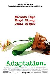 Adaptation