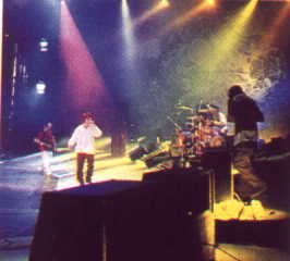 Stone Roses