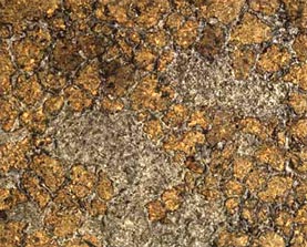 Jean Dubuffet 1901 - 1985
