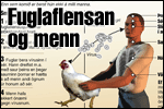Fuglaflensa