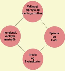 Vefjagigt - framhald