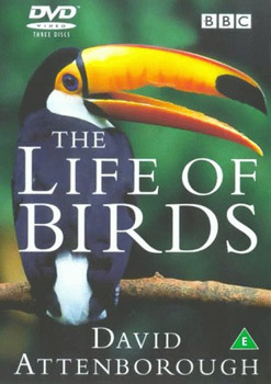 Life Of Birds