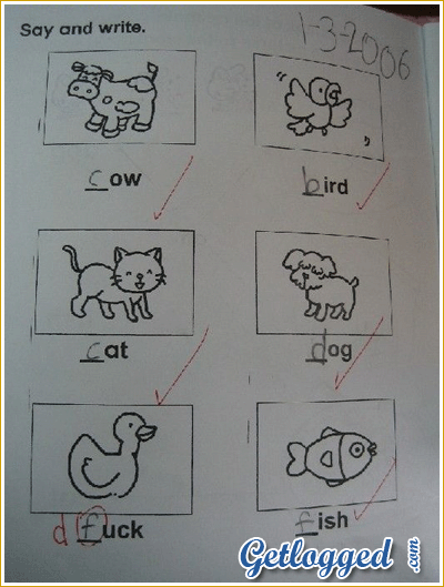 duck