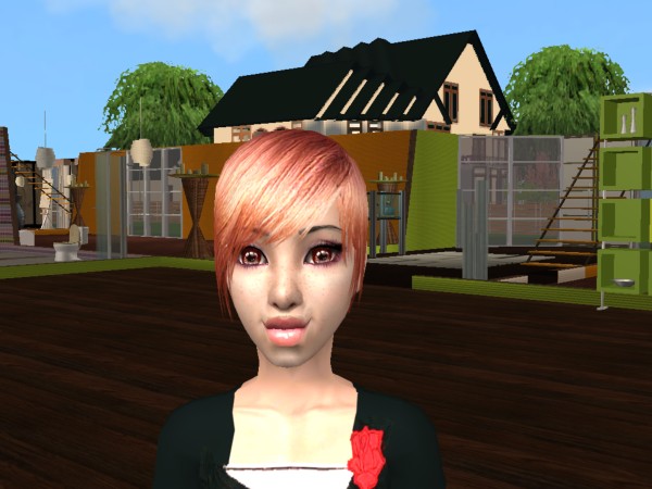 Sims
