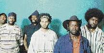 The Roots