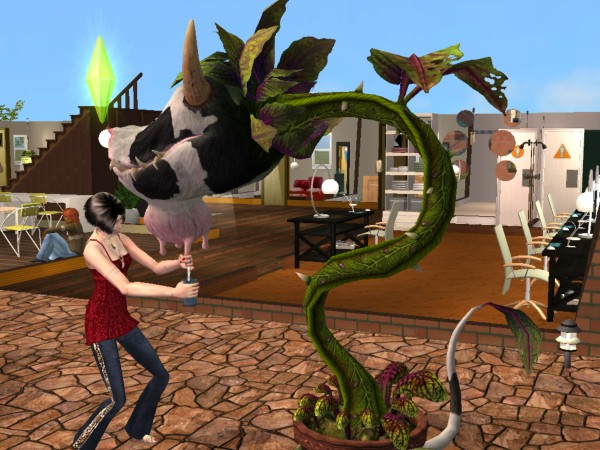 Sims