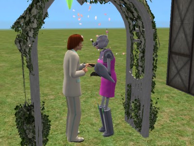 sims..