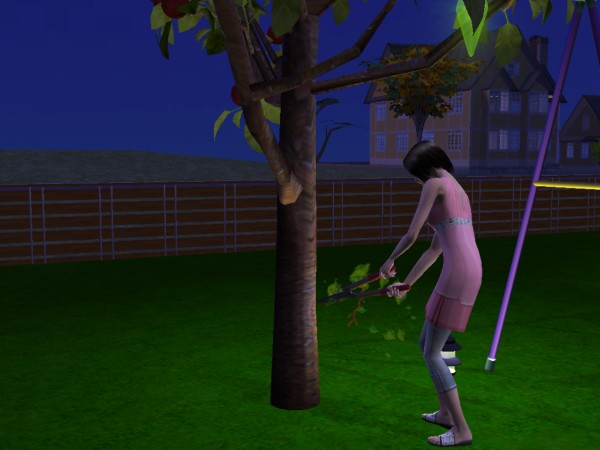 Sims
