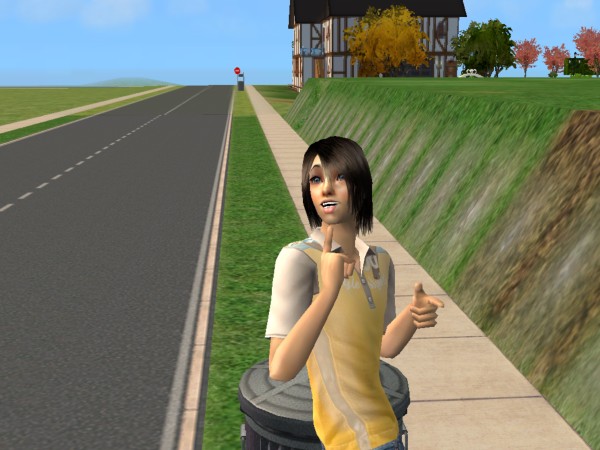 Sims